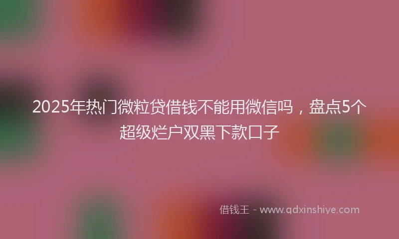 2025年热门微粒贷借钱不能用微信吗，盘点5个超级烂户双黑下款口子