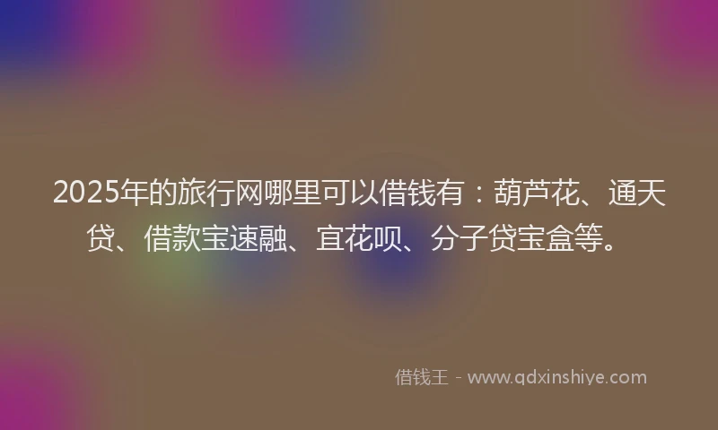 2025年的旅行网哪里可以借钱有：葫芦花、通天贷、借款宝速融、宜花呗、分子贷宝盒等。