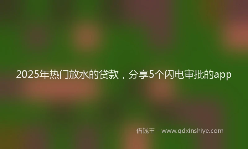 2025年热门放水的贷款，分享5个闪电审批的app