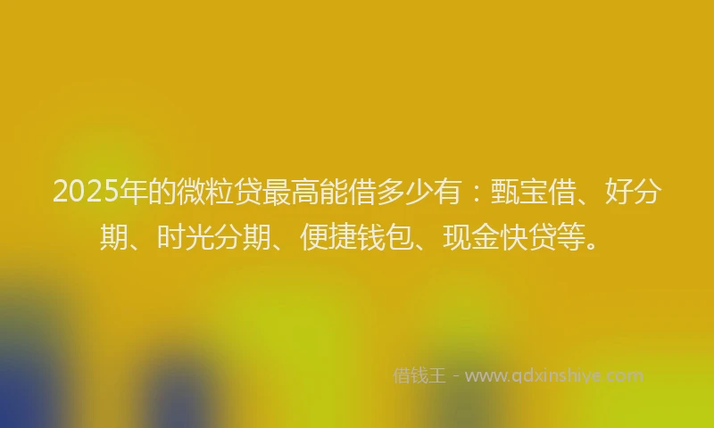 2025年的微粒贷最高能借多少有：甄宝借、好分期、时光分期、便捷钱包、现金快贷等。