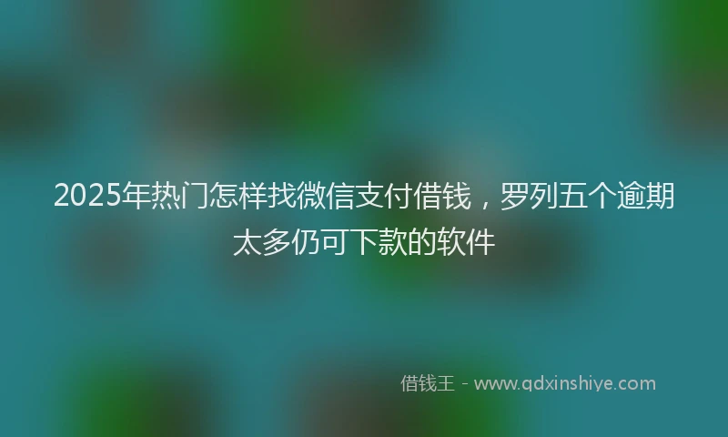 2025年热门怎样找微信支付借钱，罗列五个逾期太多仍可下款的软件