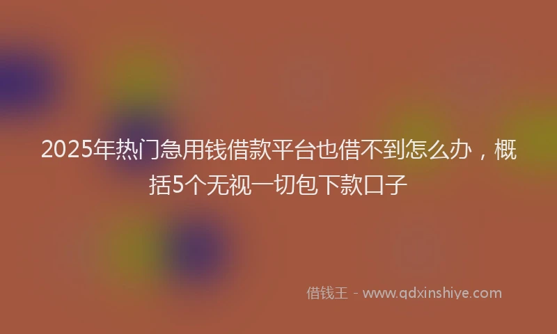 2025年热门急用钱借款平台也借不到怎么办，概括5个无视一切包下款口子