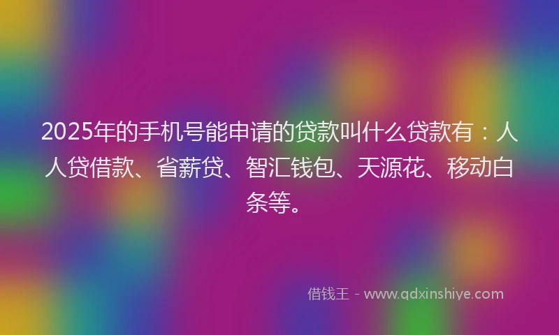 2025年的手机号能申请的贷款叫什么贷款有：人人贷借款、省薪贷、智汇钱包、天源花、移动白条等。