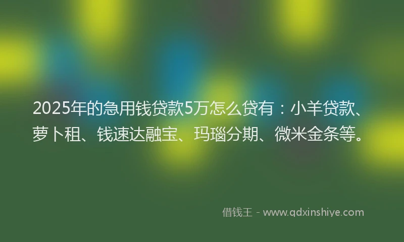 2025年的急用钱贷款5万怎么贷有：小羊贷款、萝卜租、钱速达融宝、玛瑙分期、微米金条等。