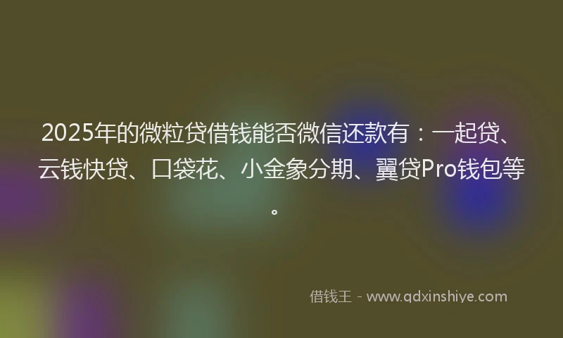 2025年的微粒贷借钱能否微信还款有：一起贷、云钱快贷、口袋花、小金象分期、翼贷Pro钱包等。