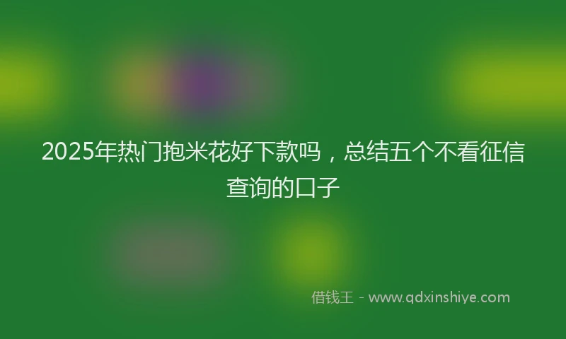 2025年热门抱米花好下款吗，总结五个不看征信查询的口子