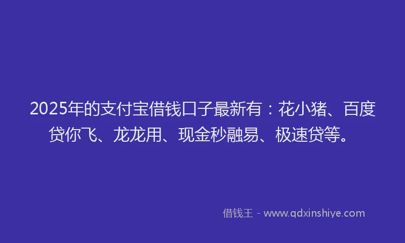 2025年的支付宝借钱口子最新有：花小猪、百度贷你飞、龙龙用、现金秒融易、极速贷等。