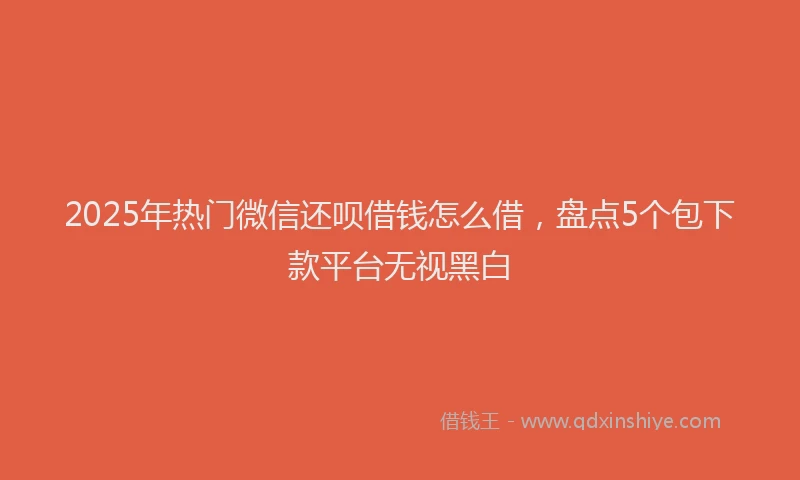 2025年热门微信还呗借钱怎么借，盘点5个包下款平台无视黑白