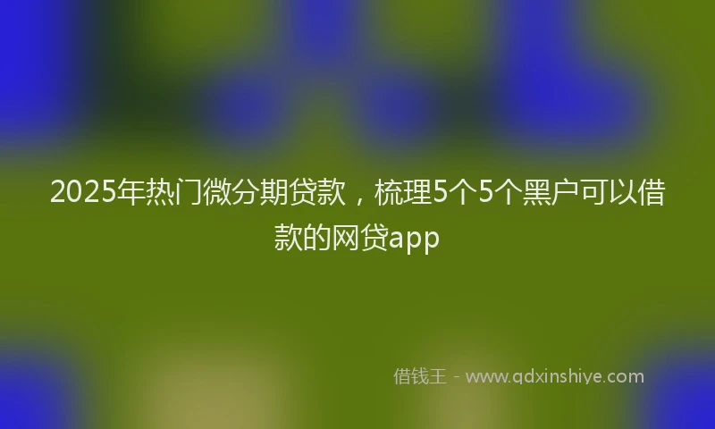 2025年热门微分期贷款，梳理5个5个黑户可以借款的网贷app