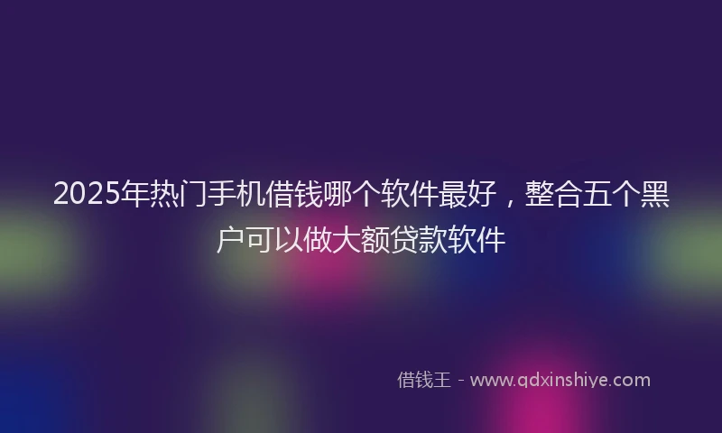 2025年热门手机借钱哪个软件最好，整合五个黑户可以做大额贷款软件