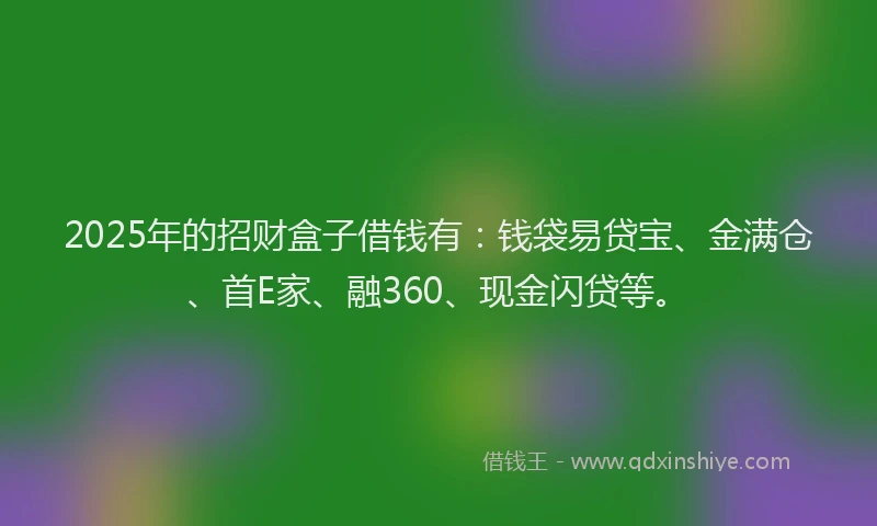 2025年的招财盒子借钱有：钱袋易贷宝、金满仓、首E家、融360、现金闪贷等。