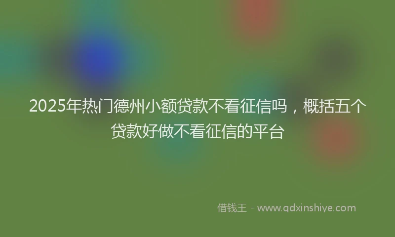 2025年热门德州小额贷款不看征信吗，概括五个贷款好做不看征信的平台