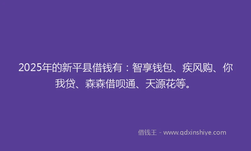2025年的新平县借钱有：智享钱包、疾风购、你我贷、森森借呗通、天源花等。