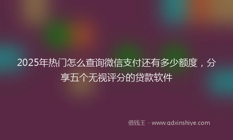 2025年热门怎么查询微信支付还有多少额度，分享五个无视评分的贷款软件