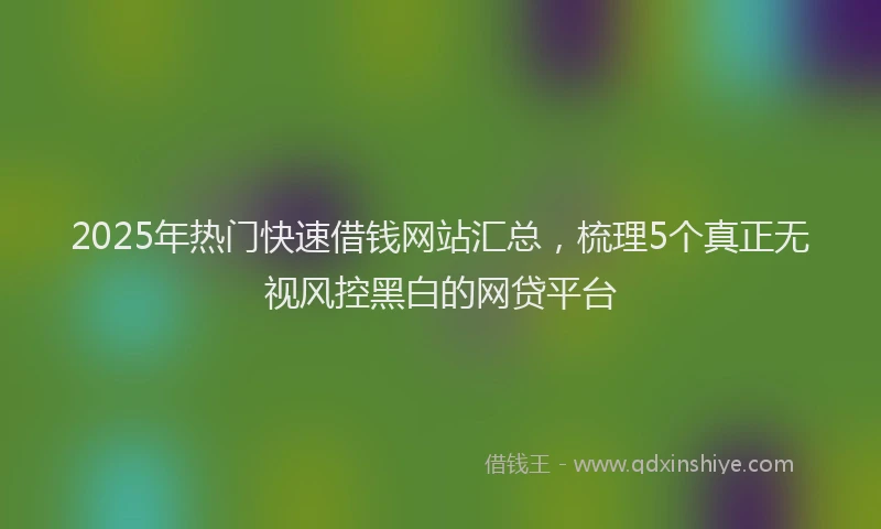 2025年热门快速借钱网站汇总，梳理5个真正无视风控黑白的网贷平台