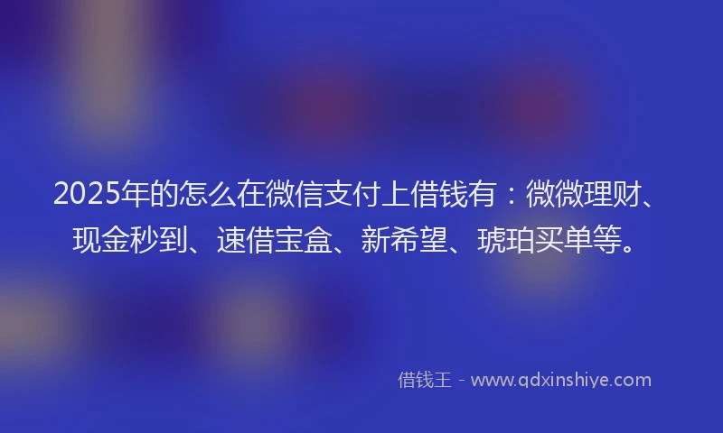 2025年的怎么在微信支付上借钱有：微微理财、现金秒到、速借宝盒、新希望、琥珀买单等。