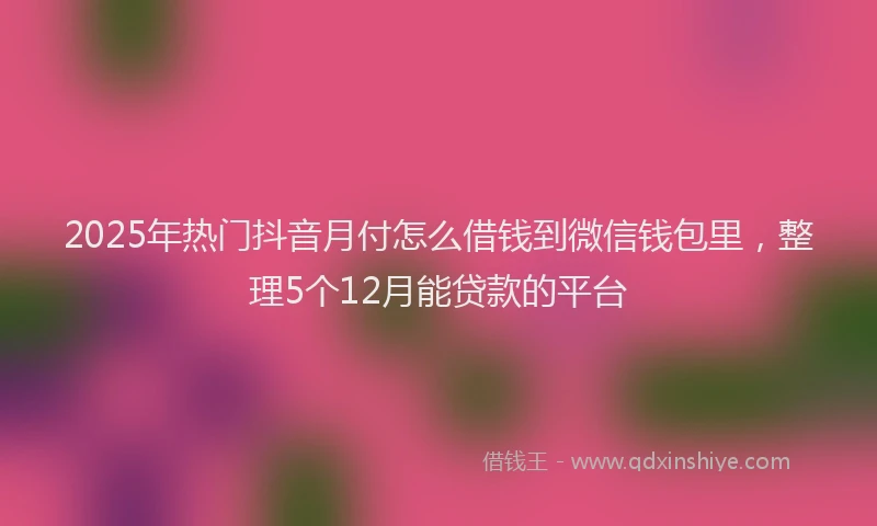2025年热门抖音月付怎么借钱到微信钱包里，整理5个12月能贷款的平台