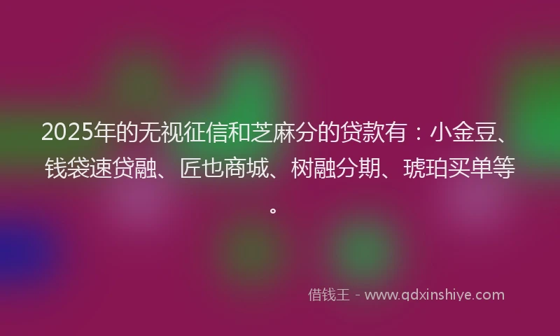 2025年的无视征信和芝麻分的贷款有：小金豆、钱袋速贷融、匠也商城、树融分期、琥珀买单等。