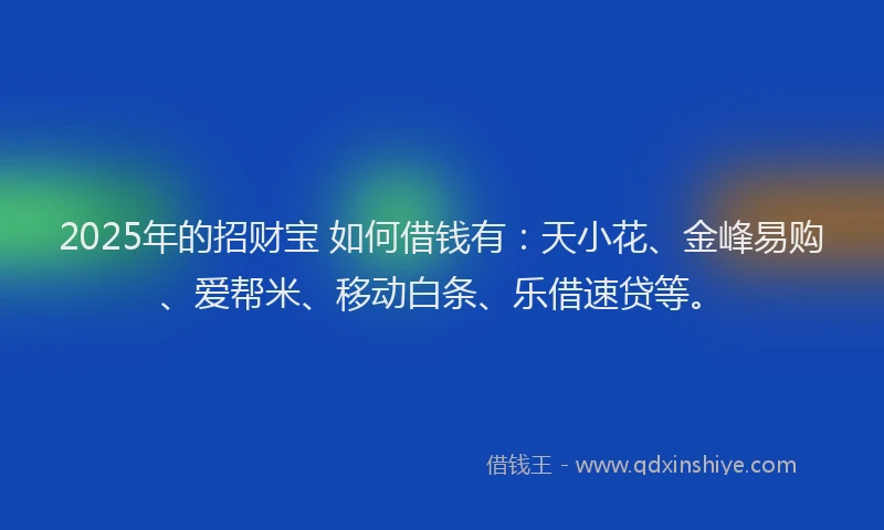 2025年的招财宝 如何借钱有：天小花、金峰易购、爱帮米、移动白条、乐借速贷等。