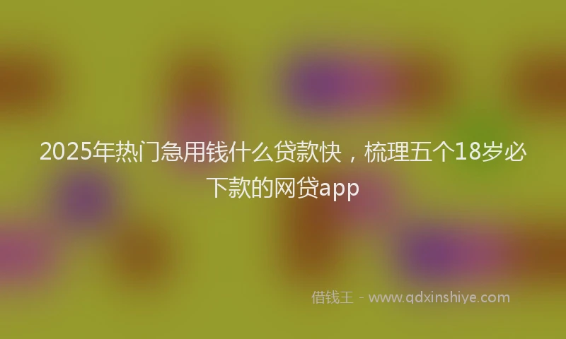 2025年热门急用钱什么贷款快，梳理五个18岁必下款的网贷app