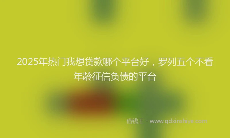 2025年热门我想贷款哪个平台好，罗列五个不看年龄征信负债的平台
