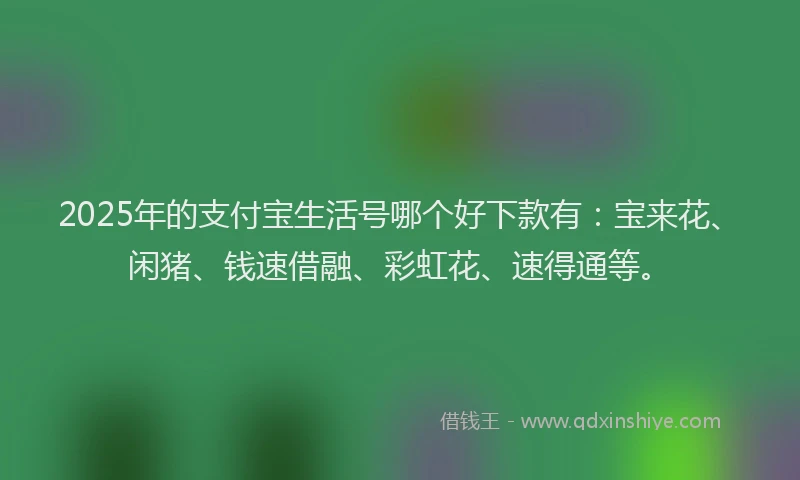 2025年的支付宝生活号哪个好下款有：宝来花、闲猪、钱速借融、彩虹花、速得通等。