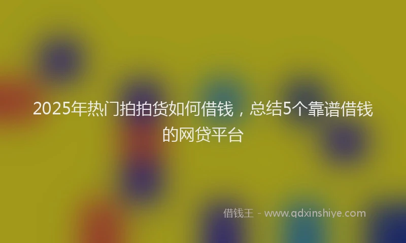 2025年热门拍拍货如何借钱，总结5个靠谱借钱的网贷平台