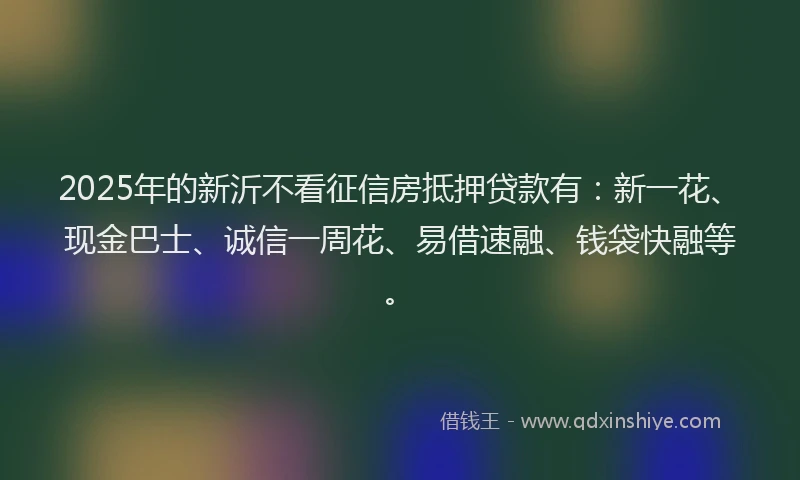 2025年的新沂不看征信房抵押贷款有：新一花、现金巴士、诚信一周花、易借速融、钱袋快融等。