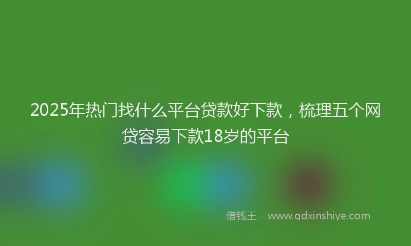 2025年热门找什么平台贷款好下款，梳理五个网贷容易下款18岁的平台
