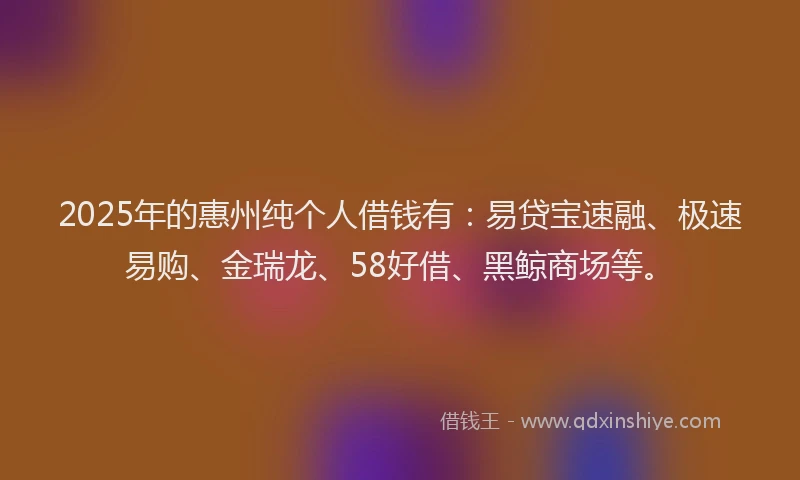 2025年的惠州纯个人借钱有：易贷宝速融、极速易购、金瑞龙、58好借、黑鲸商场等。
