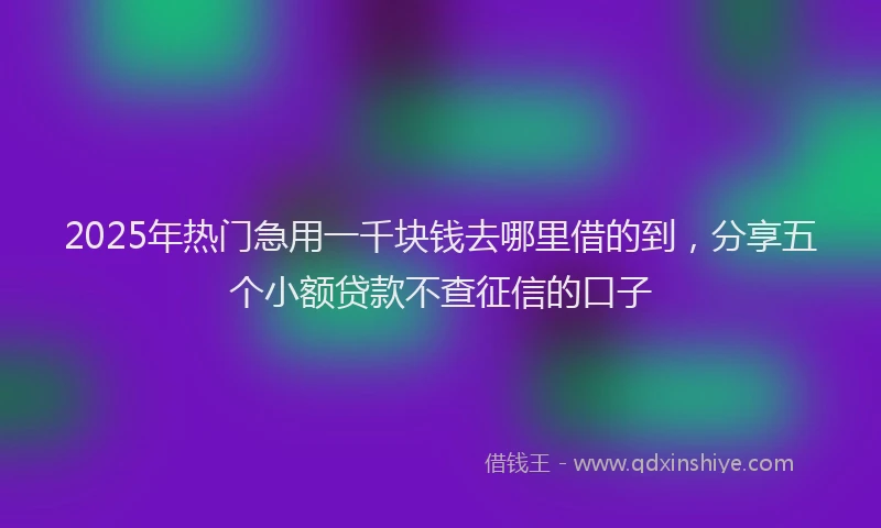 2025年热门急用一千块钱去哪里借的到，分享五个小额贷款不查征信的口子