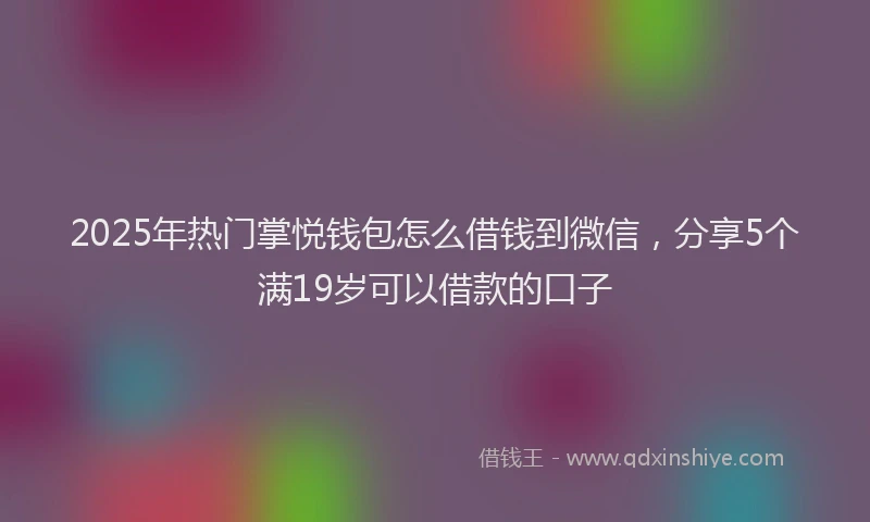 2025年热门掌悦钱包怎么借钱到微信，分享5个满19岁可以借款的口子