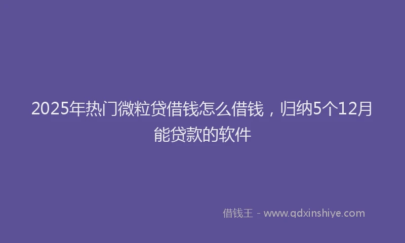 2025年热门微粒贷借钱怎么借钱，归纳5个12月能贷款的软件