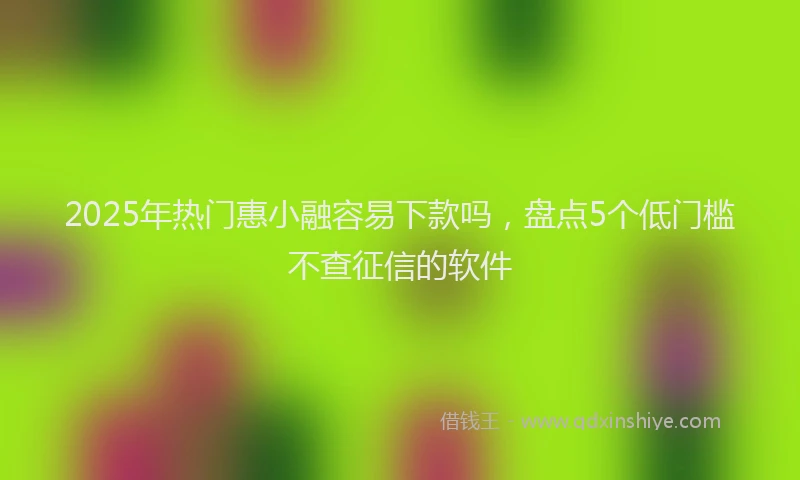 2025年热门惠小融容易下款吗，盘点5个低门槛不查征信的软件