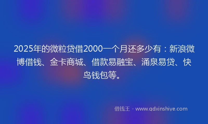 2025年的微粒贷借2000一个月还多少有：新浪微博借钱、金卡商城、借款易融宝、涌泉易贷、快鸟钱包等。
