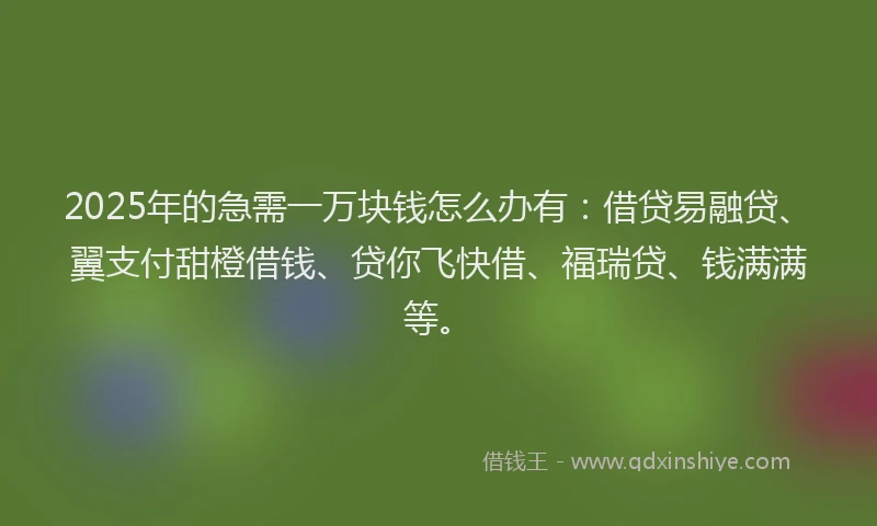 2025年的急需一万块钱怎么办有：借贷易融贷、翼支付甜橙借钱、贷你飞快借、福瑞贷、钱满满等。