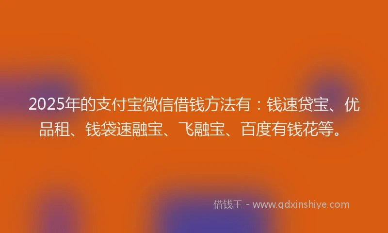 2025年的支付宝微信借钱方法有：钱速贷宝、优品租、钱袋速融宝、飞融宝、百度有钱花等。