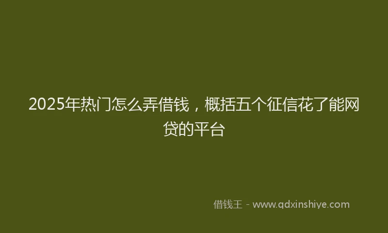 2025年热门怎么弄借钱，概括五个征信花了能网贷的平台