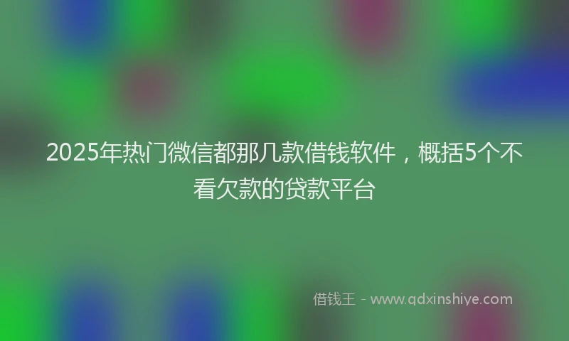 2025年热门微信都那几款借钱软件，概括5个不看欠款的贷款平台