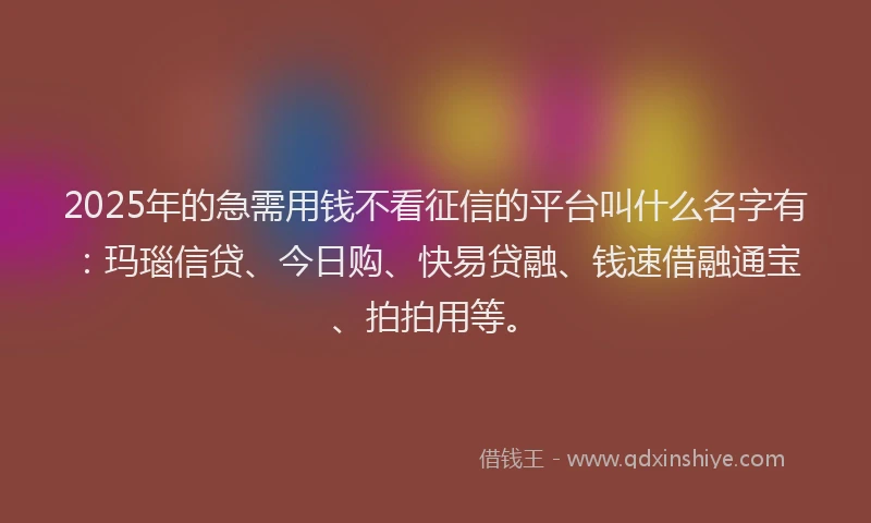 2025年的急需用钱不看征信的平台叫什么名字有：玛瑙信贷、今日购、快易贷融、钱速借融通宝、拍拍用等。