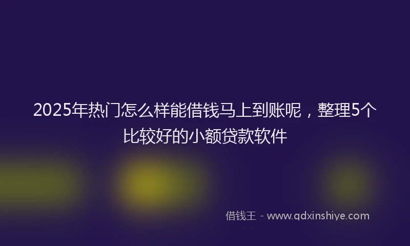 2025年热门怎么样能借钱马上到账呢，整理5个比较好的小额贷款软件