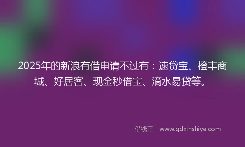 2025年的新浪有借申请不过有：速贷宝、橙丰商城、好居客、现金秒借宝、滴水易贷等。