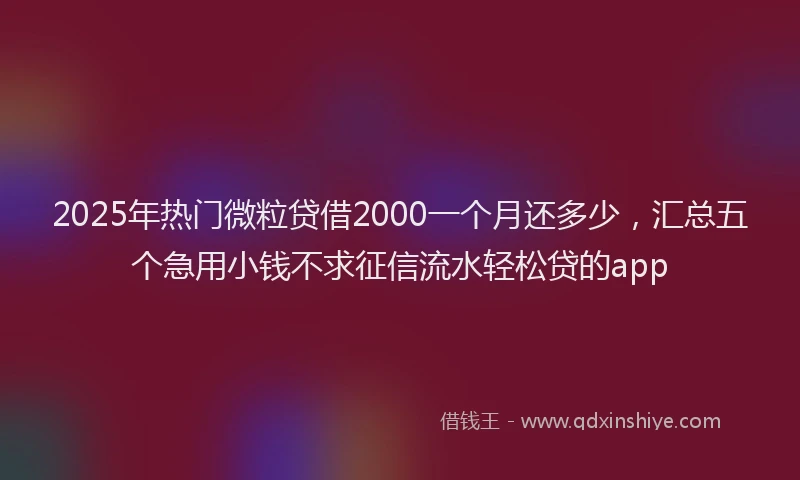 2025年热门微粒贷借2000一个月还多少，汇总五个急用小钱不求征信流水轻松贷的app