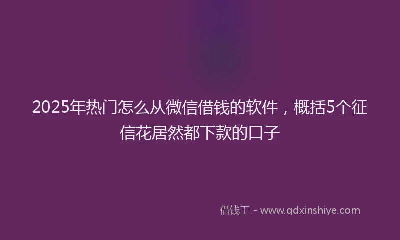 2025年热门怎么从微信借钱的软件，概括5个征信花居然都下款的口子