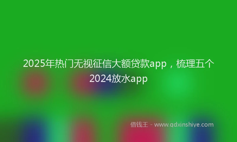 2025年热门无视征信大额贷款app，梳理五个2024放水app