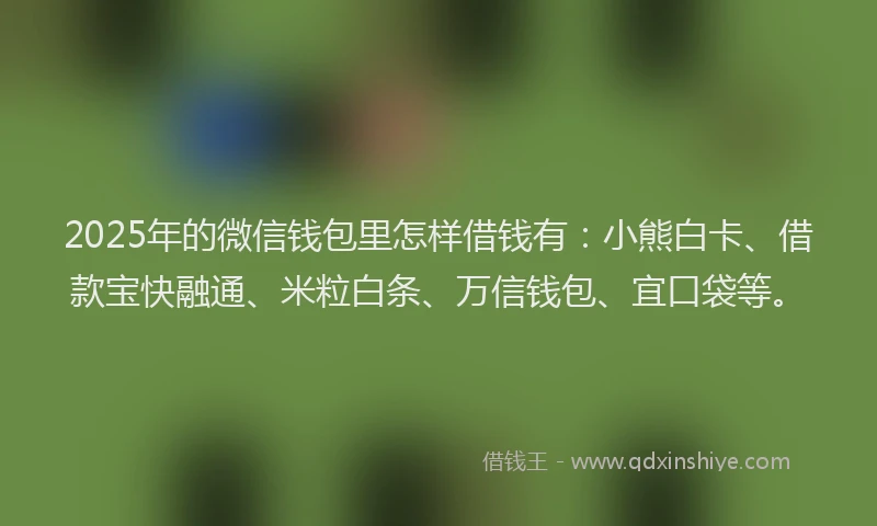 2025年的微信钱包里怎样借钱有：小熊白卡、借款宝快融通、米粒白条、万信钱包、宜口袋等。