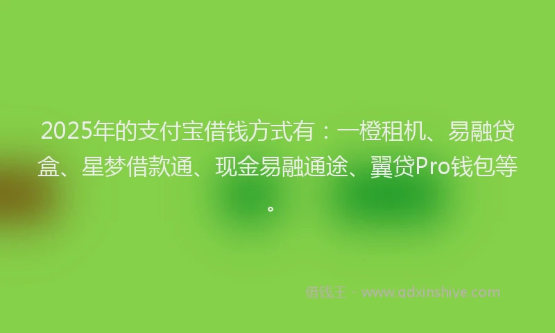 2025年的支付宝借钱方式有：一橙租机、易融贷盒、星梦借款通、现金易融通途、翼贷Pro钱包等。