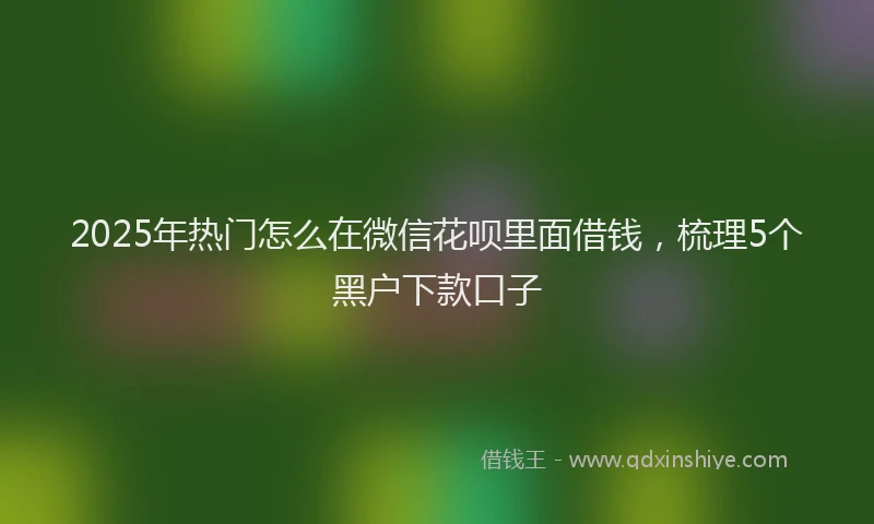 2025年热门怎么在微信花呗里面借钱，梳理5个黑户下款口子