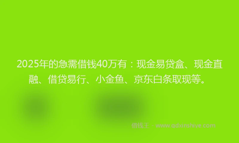2025年的急需借钱40万有：现金易贷盒、现金直融、借贷易行、小金鱼、京东白条取现等。