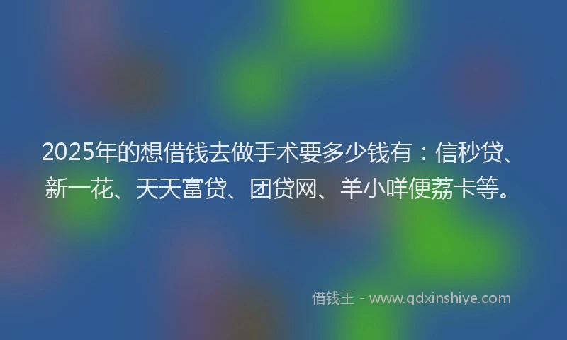 2025年的想借钱去做手术要多少钱有：信秒贷、新一花、天天富贷、团贷网、羊小咩便荔卡等。